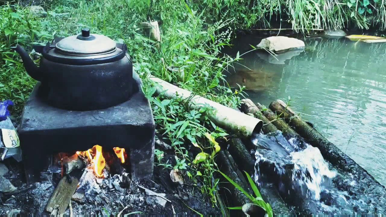 Kolam ikan Bawal dan Gurameh menyejukan.