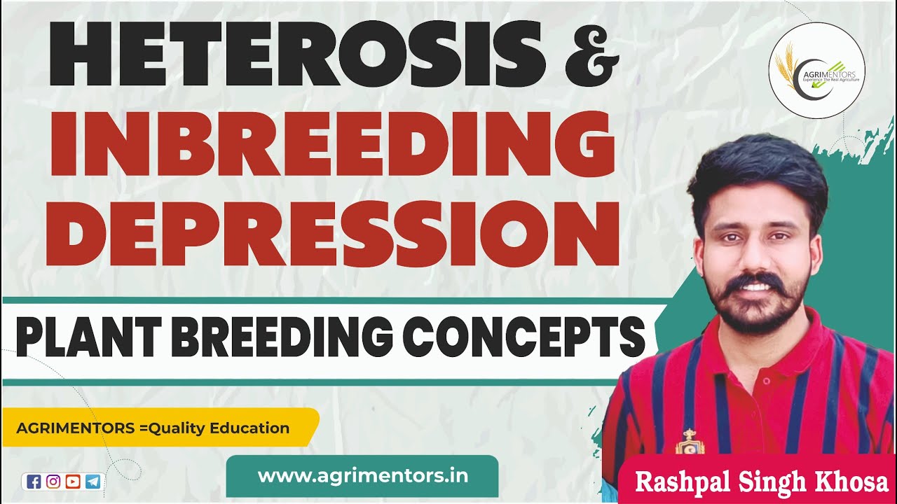 Heterosis and Inbreeding Depression | Plant Breeding Concepts | ADO | ICAR | AAO | AFO | CUET | RAEO