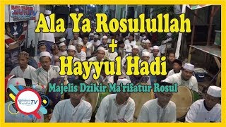 Ala Ya Rosulullah   Hayyul Hadi - Majelis Dzikir Ma'rifatur Rosul