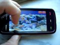 Egi marine aquarium touch mobile v10 by egidio nuzzo