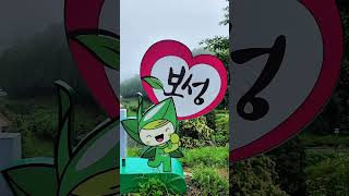 보성 한국차박물관