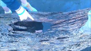 Full Bear Grylls - Duke of Ed silver 2015 Update