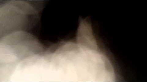 "WINDY MORPHING"- Music:"Morphing" by DELAY