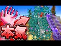 【マイクラ】黙って本気でスカイウォーズに挑んで見た！！