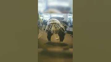 An unusual jellyfish robot.