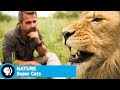 Impact of Discovery on Cat Conservation