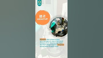 Cegah DBD Dengan 3M Plus