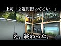 【悲報】まさかの２週間…水槽と植物をどうすれば乗り切れるのか。