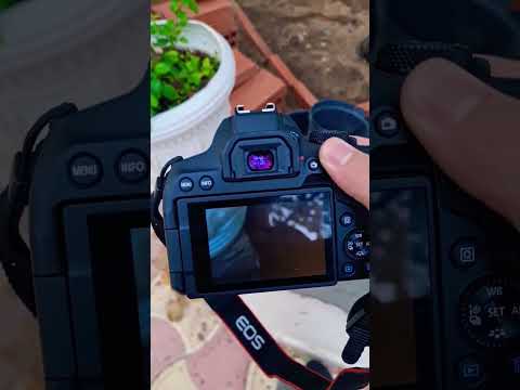 canon camera problem