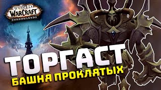 ТОРГАСТ, БАШНЯ ПРОКЛЯТЫХ | Альфа Shadowlands | Бесконечная Башня, Roguelike в WoW