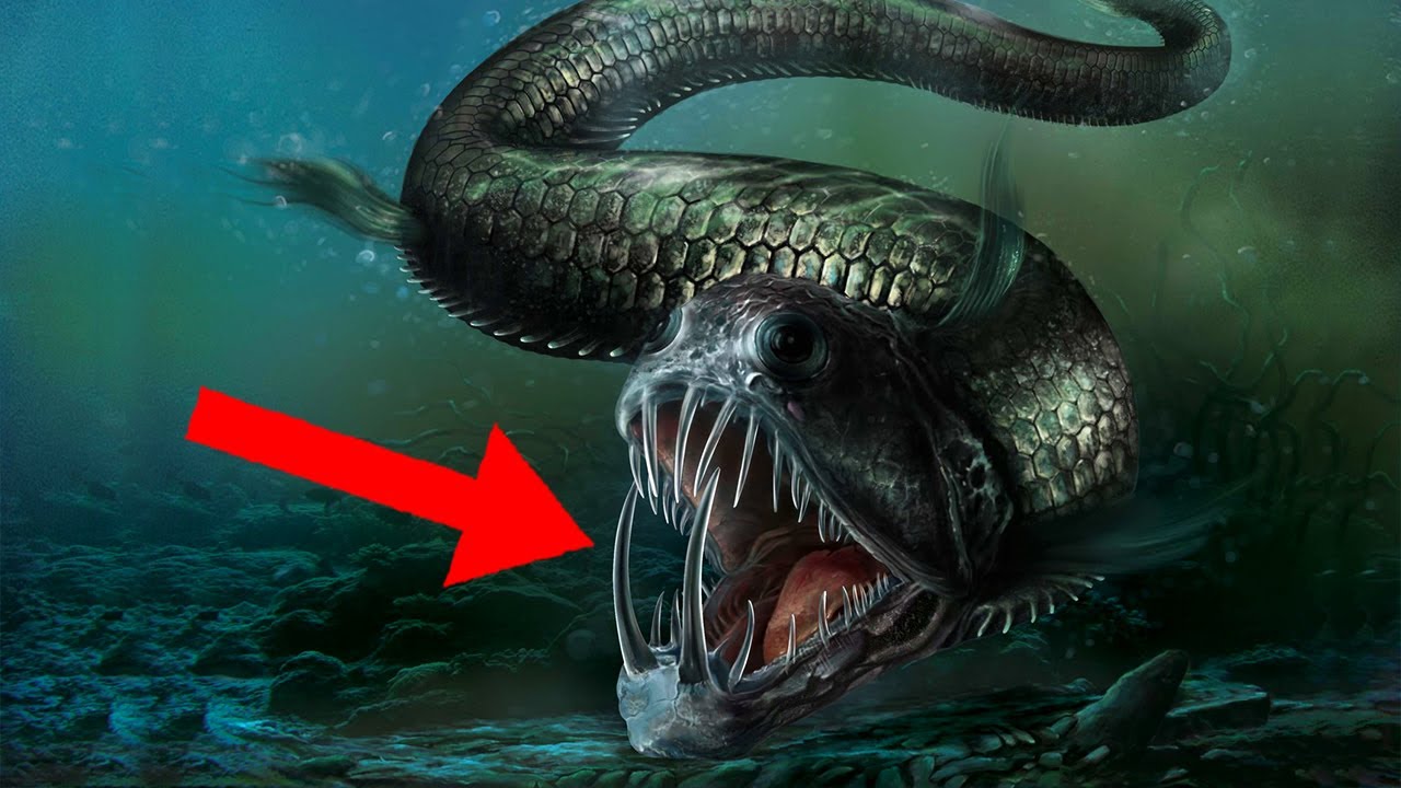 10 Most Terrifying And Deadliest Sea Creatures! - YouTube