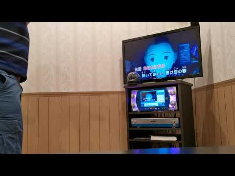カラオケ　小さな恋のうた　モンゴル800