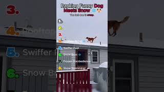 Ranking Funny Dog Meets Snow