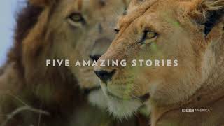 Dynasties | January 19 at 9/8c | BBC America