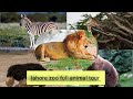 Lahore zoo full animal tour         form sadias kitchen and vlogs