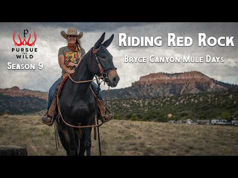 Riding the Red Rocks at Bryce Canyon Mule Days - Season 9, Episode 1