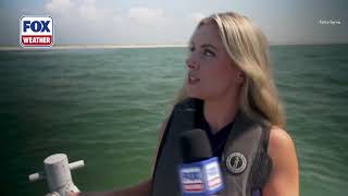 FOX Weather Goes on Shark Patrol With Nassau County Marine Bureau