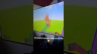 MineCraft Charizard or Charmeleon!