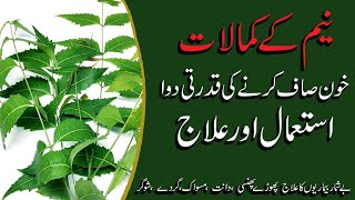 Neem Ke Patto Ke Fayde | how to use Neem | نیم  کے   درخت  کے  فائدے  Health Food Massage