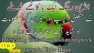 Interesting facts about Indian ringneck parrot Urdu/Hindi.کاٹھے طوطے کے متعلق دلچسپ معلومات screenshot 3