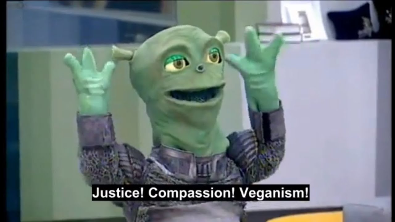 Tal Gilboa | Vegan Activist In Big Brother 2014