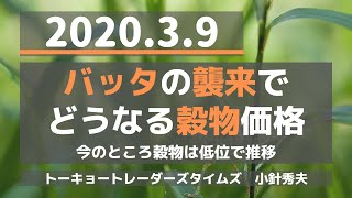 (20.3.9)【穀物】バッタの襲来でどうなる穀物価格「TOCOMスクエアTV」商品先物相場展望