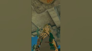 Did You Know About This New Korok Puzzle In TOTK? (The Legend of Zelda: Tears of the Kingdom)