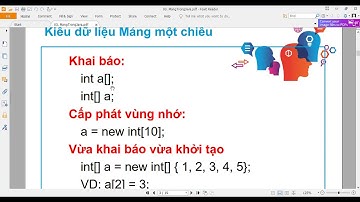 Kiểu dữ liệu mảng trong Java