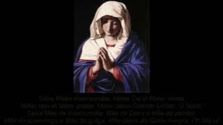 Salve Mater Misericordiæ - Canto Gregoriano LEGENDADO. Gregorian Chant. Latim subtitles.