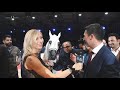 🇫🇷 PARIS ARABIAN HORSE WORLD CHAMPIONSHIP 2019 - The Championship Day