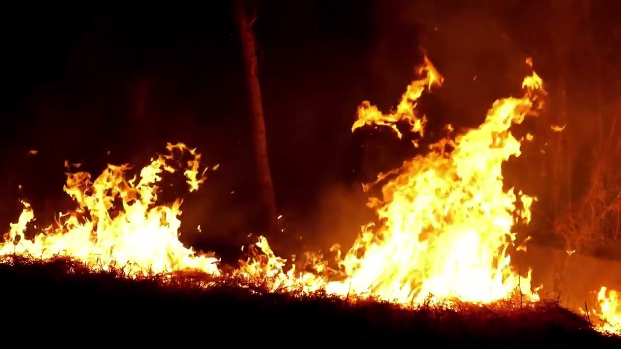 Caught in The Light - Stuck in The Forest Fire song