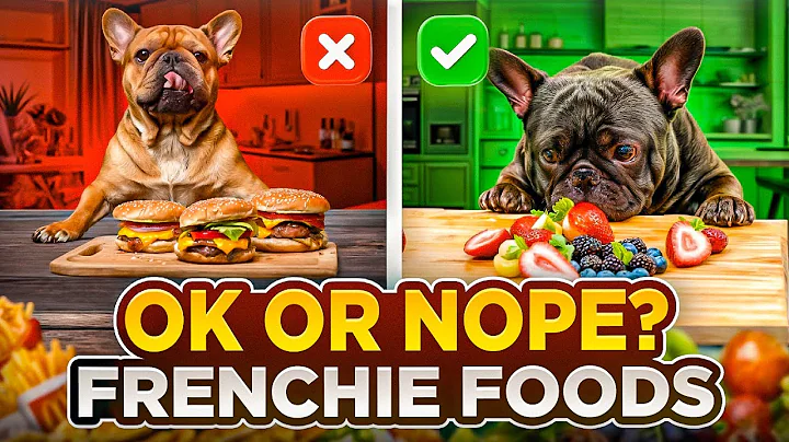 French Bulldog Diet Mistakes Every Owner Makes! #frenchiecare #healthydogdiet #bulldognutrition