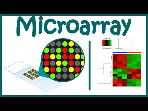 マイクロアレイ技術|| DNAマイクロアレイ||マイクロアレイを用いた遺伝子発現解析
