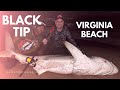 Catching a blacktip shark  fishing durban virginia beach