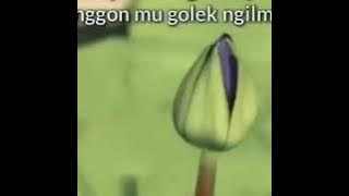 Story wa pshy bulan suro