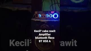 Power Amplifier FLECO 858A Ampli Mini Bluetooth Stereo Karaoke