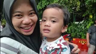 Jalan Melihat Singa dan Harimau di Ragunan Zoo Kebun Binatang Hutan Forest Jakarta Hujan