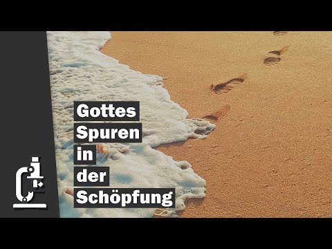 Video: Wie kann man ein Verw alter der Schöpfung Gottes sein?