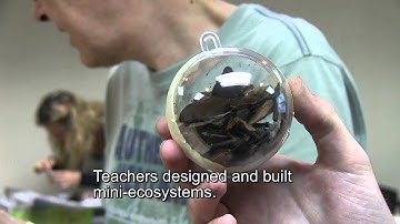 Developing Critical Thinking Skills via Incorporating Inquiry-Based Investigations