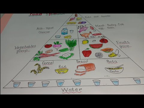 How to draw food pyramid Food pyramid drawing
