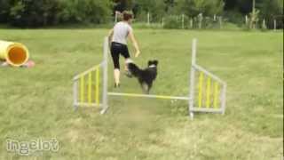 Flicka - Freex Camp 2012 Hd