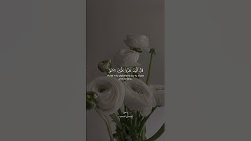 سورة يس بصوت فيصل السعيد#قرآن
