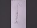 Figure 6-Funaria Gametophyte with Sporophyte -Botany Record #drawing #art #plustwo #botanyrecord