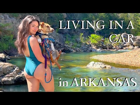 Living in a Prius in Arkansas(pt 2) -a break, dates, hikes & swimming holes! solo female car camping