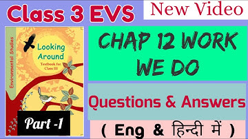 EVS chap 12 work we do,Part-1,Ques & Answer in hindi work we do in hindi,class 3 evs  @SS Study