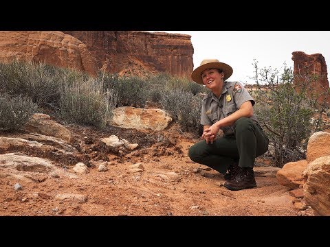 Video: Is Moab een woestijn?