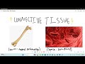 Connective Tissue Explained - EP 2 Part B