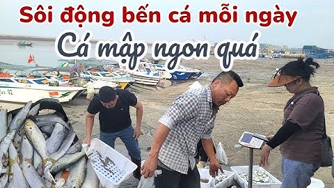 "Ngộp thở" giữa biển hải sản tươi rói: Cảnh mua bán "náo nhiệt" chưa từng thấy ở bến cảng