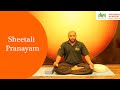 Sheetali pranayam by avn arogya wwwavnarogyain