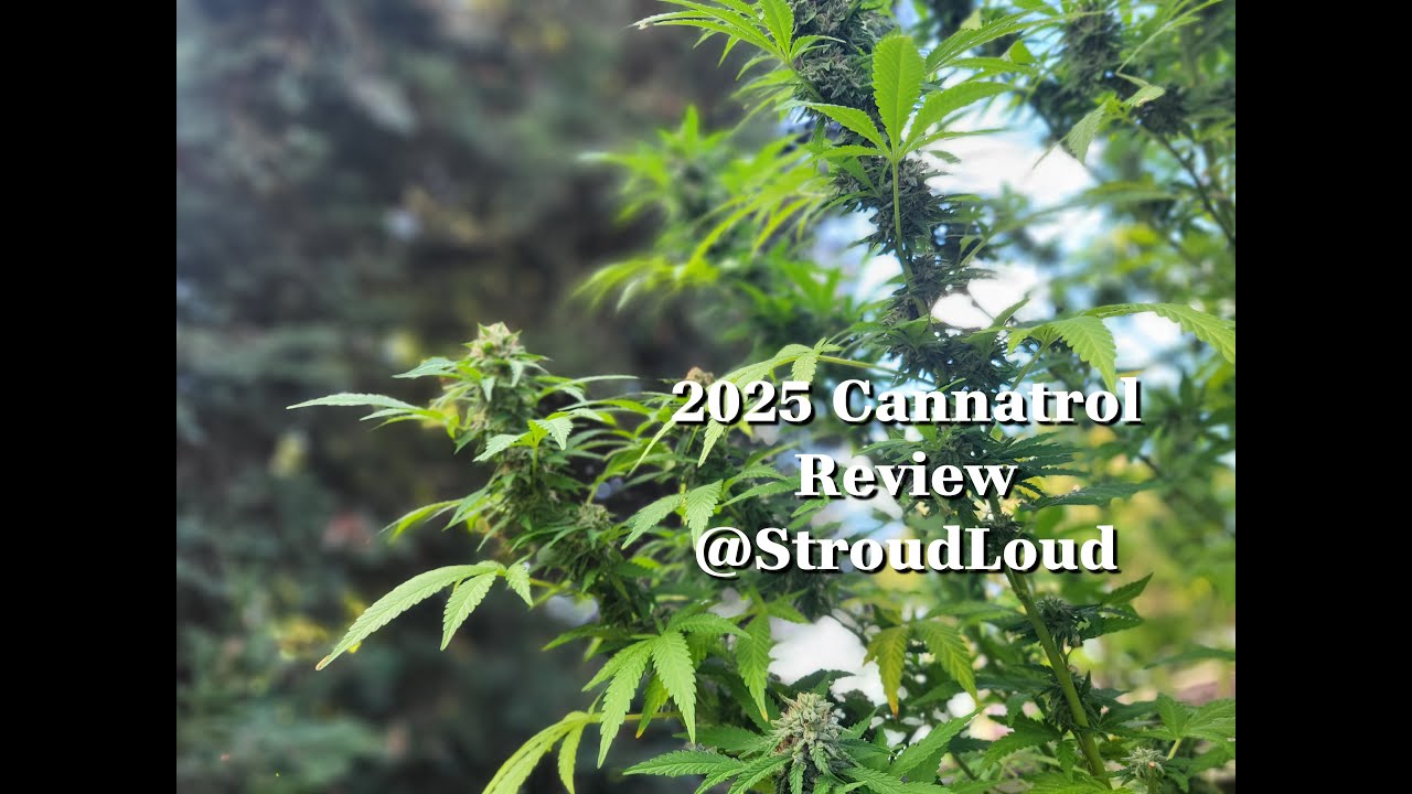 Cannatrol Review. Outdoor Cannabis. How to Harvest Marijuana. How to Bud Wash. Drying & Curing Weed.